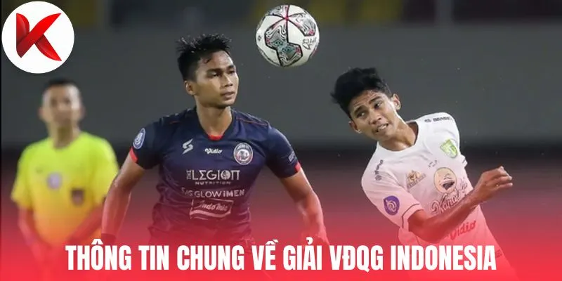 Thông tin chung về giải VĐQG Indonesia